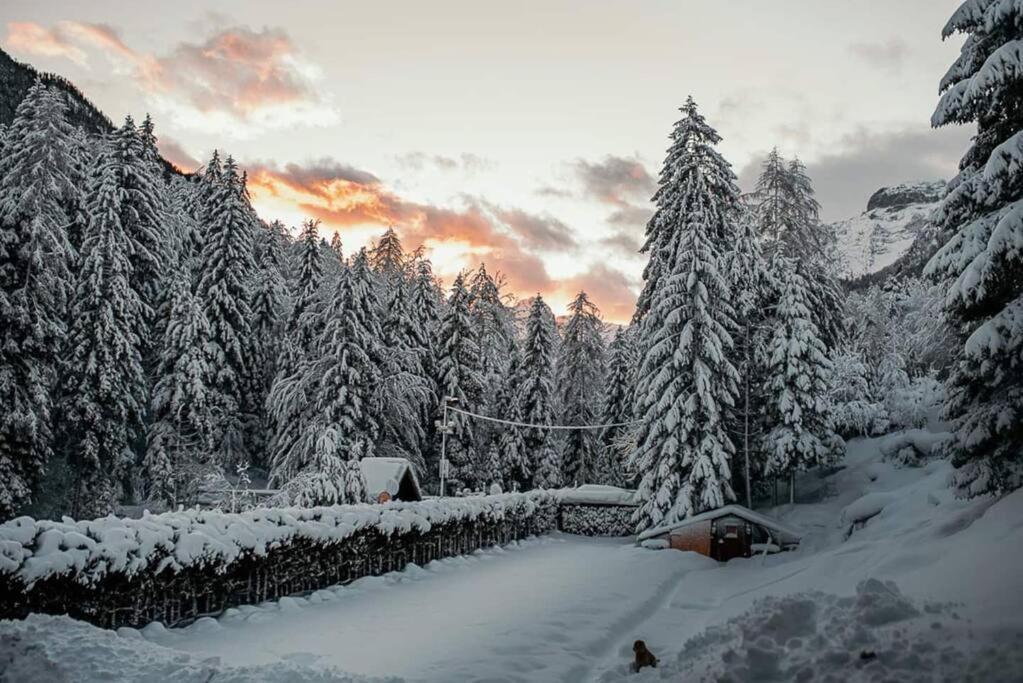 Idyllic Triglav Forest Retreat - Alps, Trails, Lakes, Falls 모스트라나 외부 사진